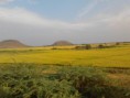 /album/photo-gallery-a-chennai-tour/a2011-04-17-17-25-27-jpg/